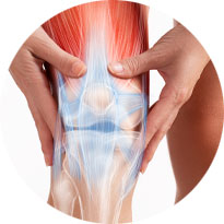 Damaged Tissue_& Cartilage